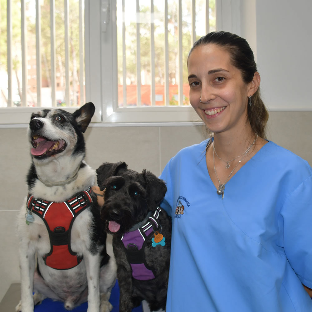 Carolina Domingo Veterinario Guadalajara