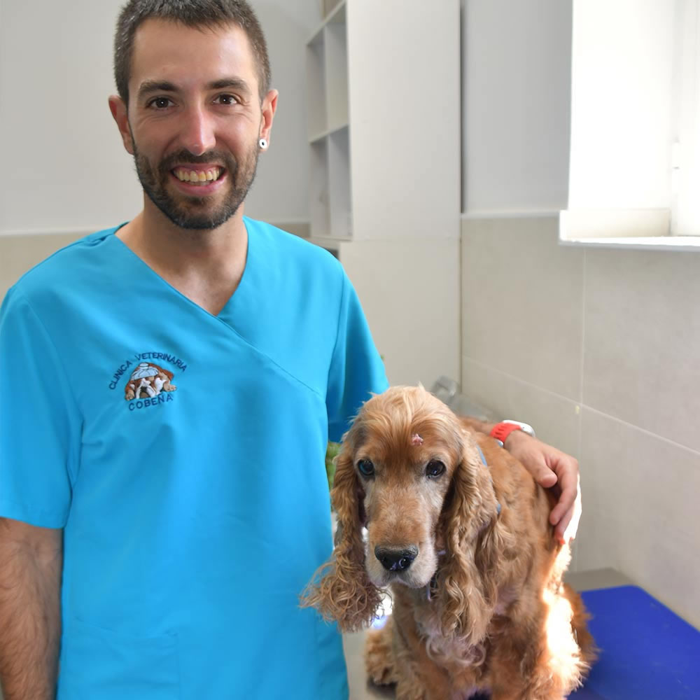 David Hipola Veterinario Guadalajara