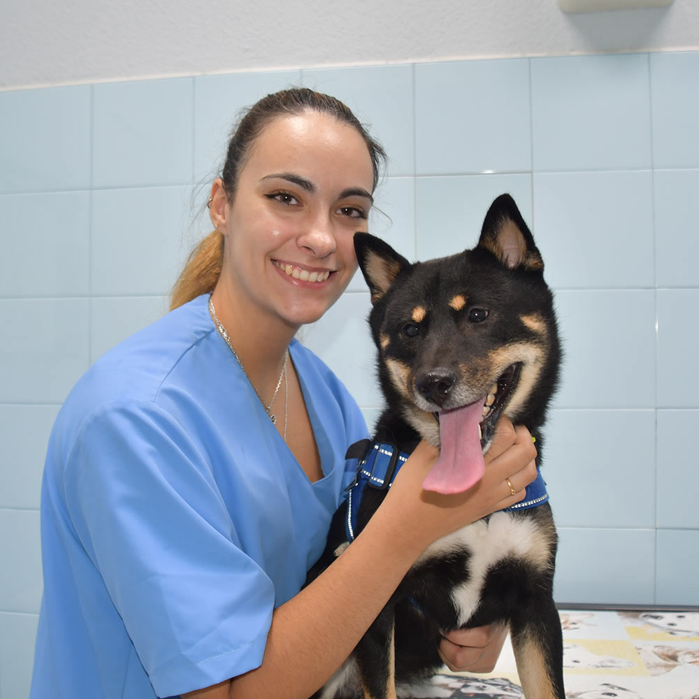 Isabel Casas Veterinario Guadalajara
