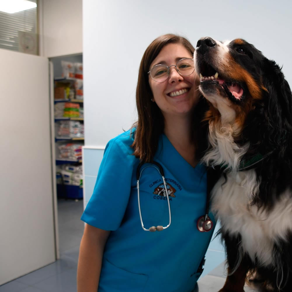 Sara Lopez Veterinario Guadalajara
