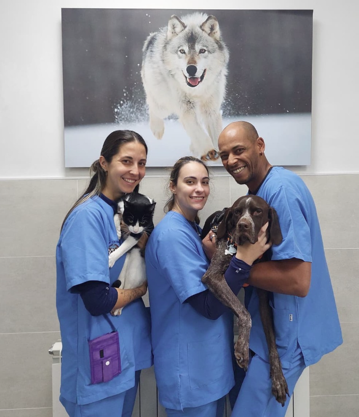 Veterinarios Cobeña Guadalajara