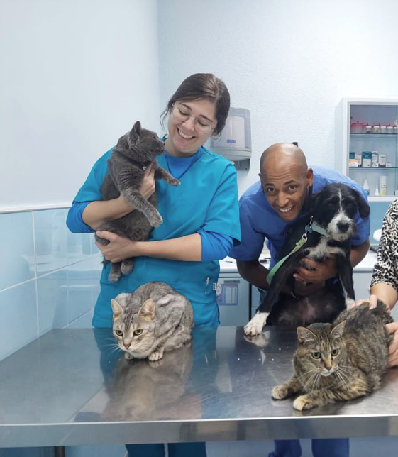 Veterinario Cobeña Guadalajara