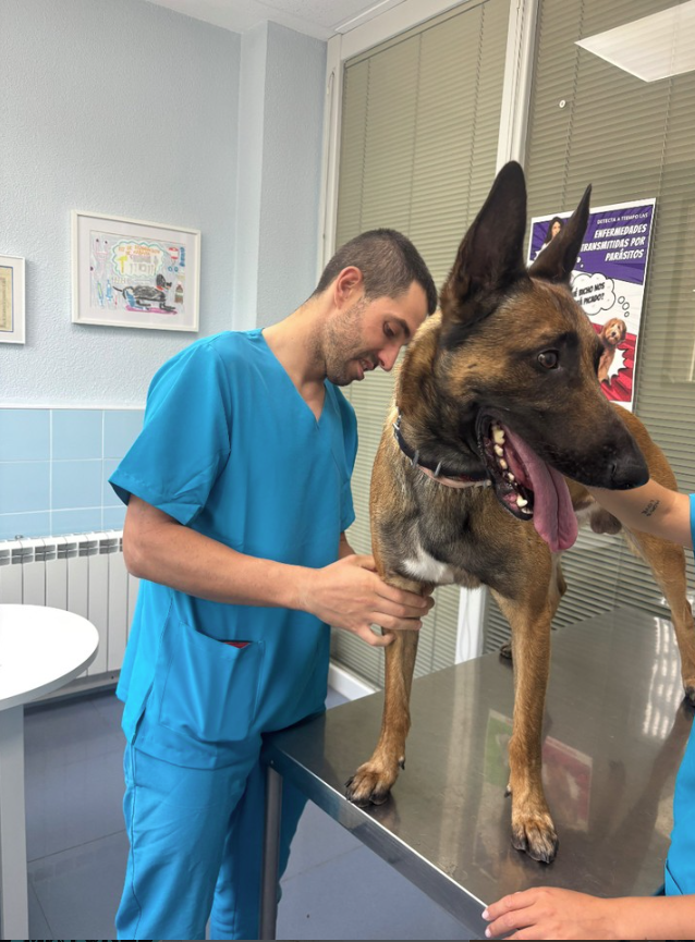 Centro Veterinario Cobeña Guadalajara