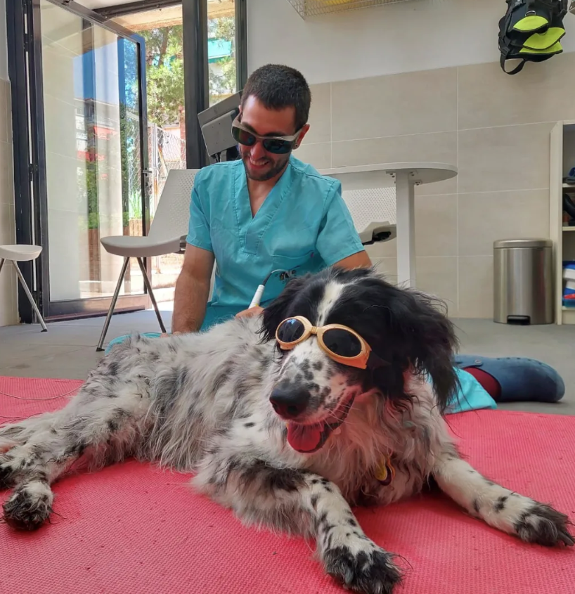 Cirugia Veterinaria Guadalajara